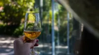 Douro River cruise moments to savour