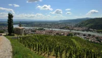Tournon-sur-Rhône & Tain-Hermitage cruises