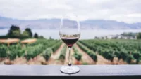The Rhône Valley wines are world class