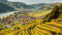 Autumnal Wachau 1 Image