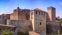 Vidin