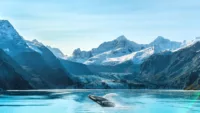 Alaska wildlife