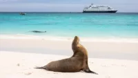 What are the best Galapagos cruises? An expert guide