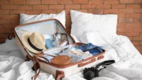 Packing Danube image Image