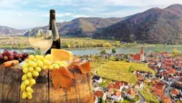 Food and Drink Danube