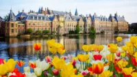 Spring is tulip season in the Netherlands