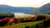 The landscape of the Rhine takes on beautiful colours in Autumn