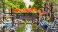 Amsterdam is a city of cyclists