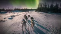 Dogsledding Canada