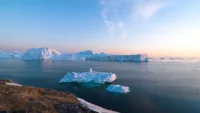 Artic imagery