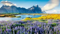 Iceland summer 1