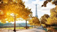 Paris Autumn 1