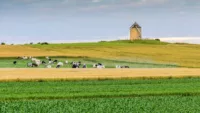 The northern France countryside is a different backdrop than the mountainous landscapes of the Rhine or Danube
