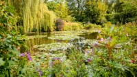 Monet's garden in Giverny