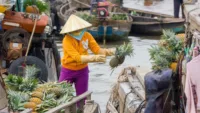 Mekong Delta Market