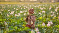 Off Mekong Flower Markets