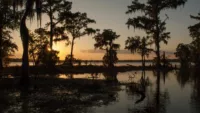 Louisiana state
