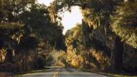 Louisiana cruises