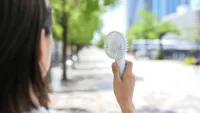 Handheld Fan