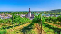 World famous wine country Rhine