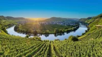 Moselle River cruises