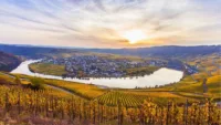 Moselle Autumn