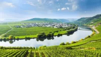 Moselle Port Guide Hero Image