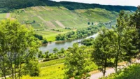 Moselle summer