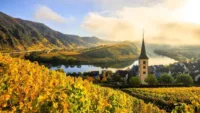 Autumn Moselle
