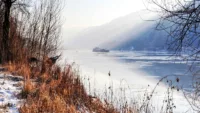 Moselle Winter