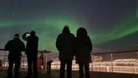 Credit Fred Olsen Northern Lights from Borealis N Norway Nov 2022 jpg 1