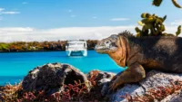 When is the best time to visit the Galápagos Islands?