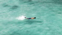 Galapagos Snorkel