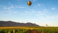 This holiday include a Hunter Valley Food & Wine tour