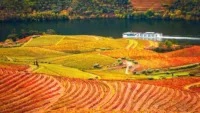 Douro river during autumn