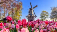Netherlands Spring Image