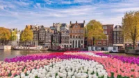 Amsterdam Spring Image