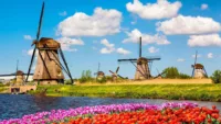 Serene Dutch landscapes
