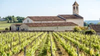 Libourne has some world-famous vineyards on its doorstep
