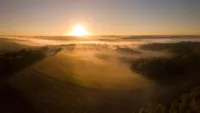 Visit the vineyards producing the renowned dessert wine Sauternes from Cadillac