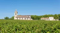 The wines from the Margaux estates are some of the world's finest
