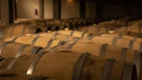 Some excursions let you learn about the making of wine barrels