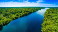 Amazon River 03 Image