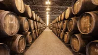 If wine isn't your thing, a Bordeaux cruise might not be for you