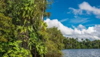Amazon River 06 Image