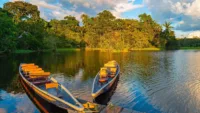 Amazon Excursions in the Ecuadorian Rainforest
