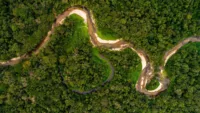 Amazon River 04