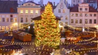 Christmas lights
