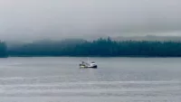 What to do in Ketchikan, Alaska, from your cruise ship