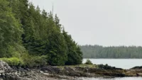 A stop in Ketchikan is a chance to explore the Tongass National Forest